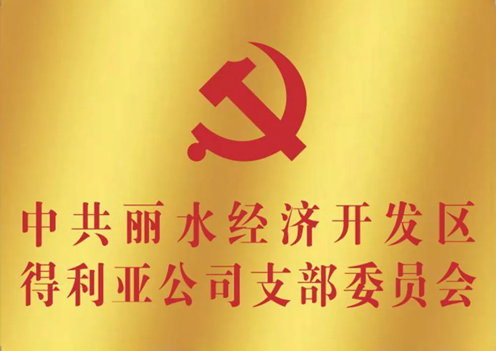 中共丽水经济开发区得利亚公司支部委员会